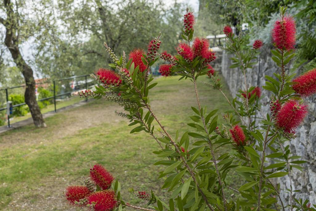 Monja Camping Village Brenzone sul Garda Εξωτερικό φωτογραφία