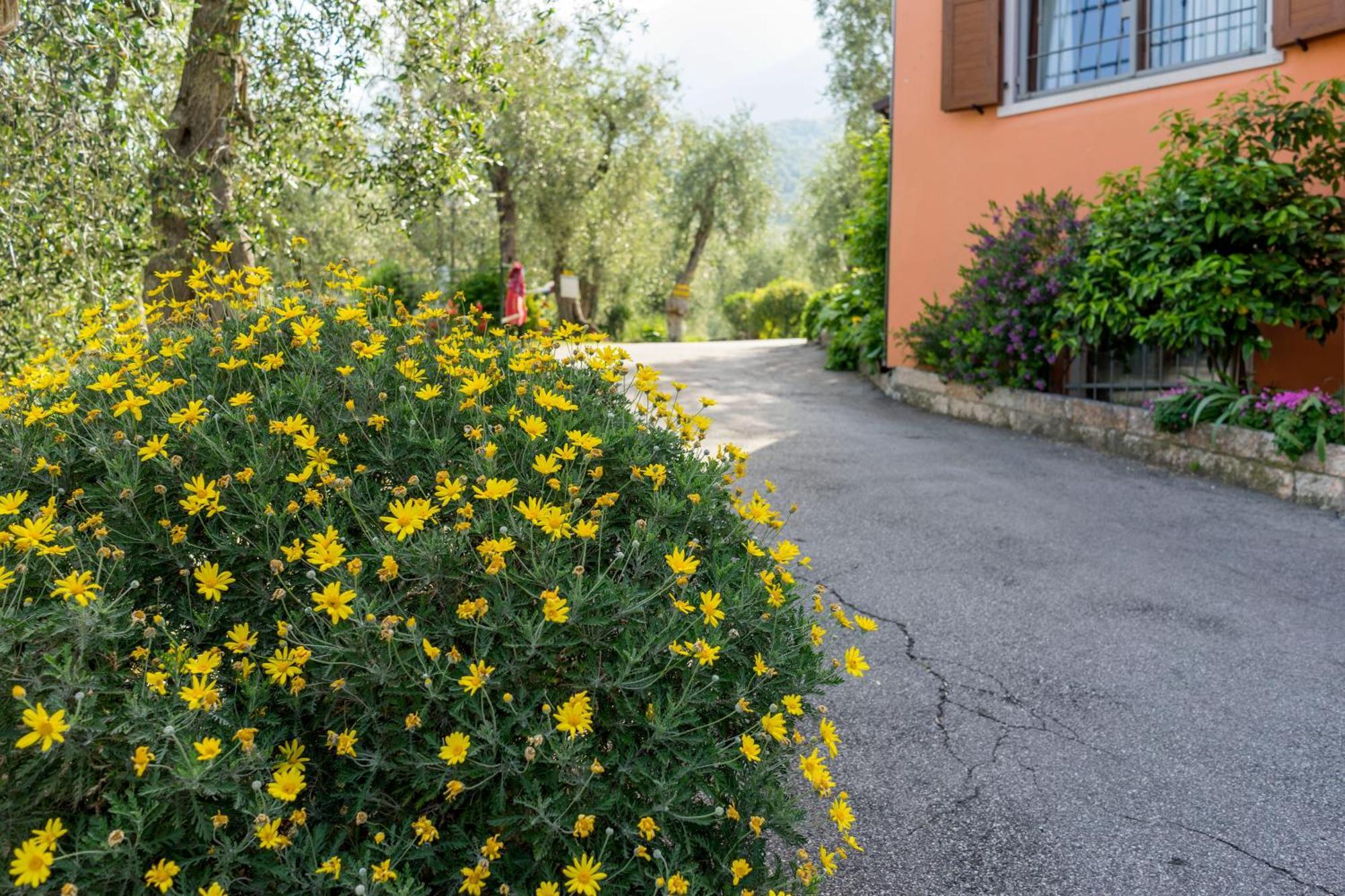 Monja Camping Village Brenzone sul Garda Εξωτερικό φωτογραφία