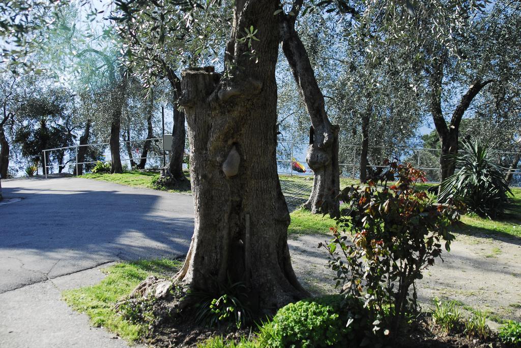 Monja Camping Village Brenzone sul Garda Εξωτερικό φωτογραφία